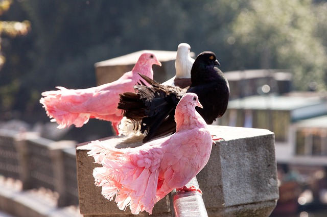 天才内马尔 天才内马尔