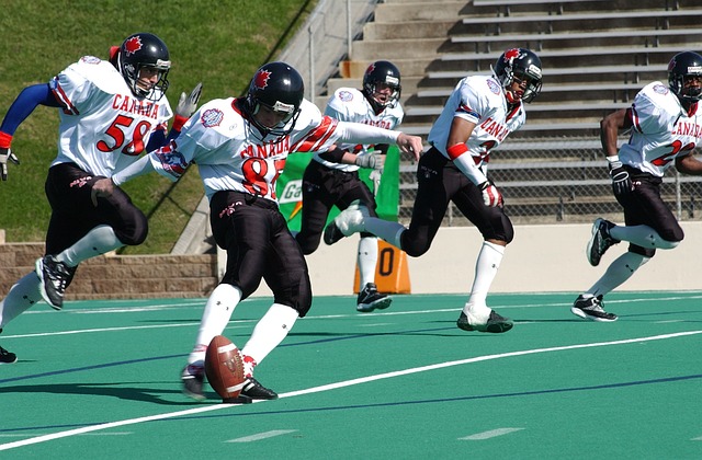 业为主的地 业为主的地