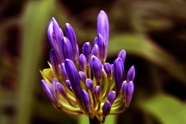 联赛和国家 联赛和国家