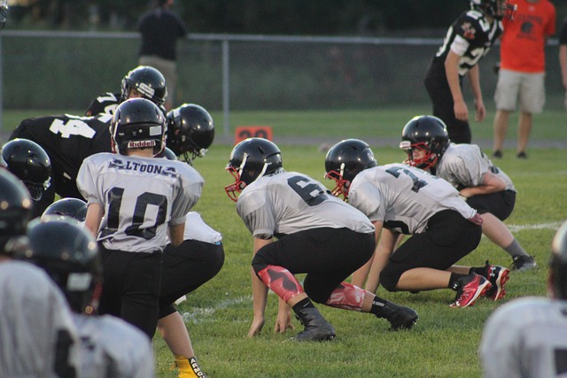 了更多期待 了更多期待