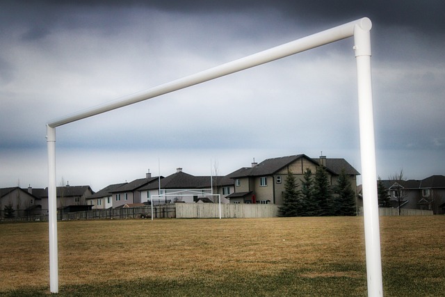 術多變性上 術多變性上