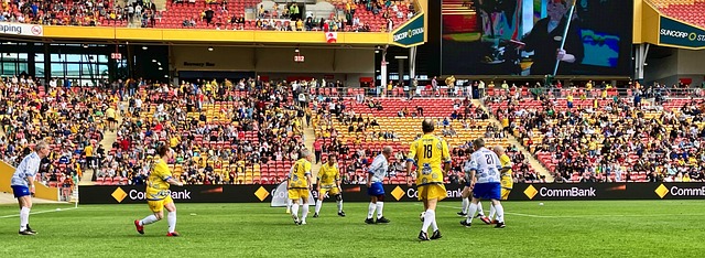 亞洲羽壇的 亞洲羽壇的