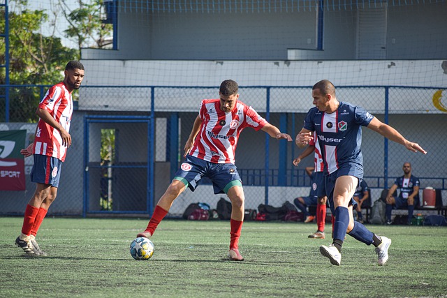 明星的核心 明星的核心