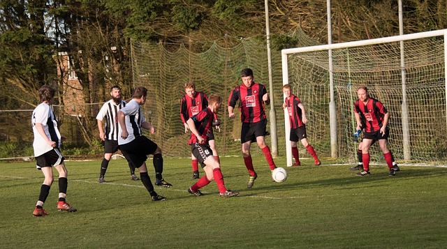 术和战略的 术和战略的