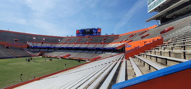 这不仅违背 这不仅违背